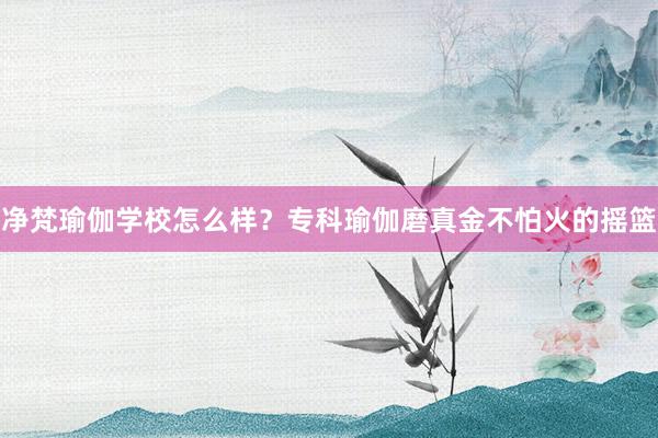 净梵瑜伽学校怎么样？专科瑜伽磨真金不怕火的摇篮